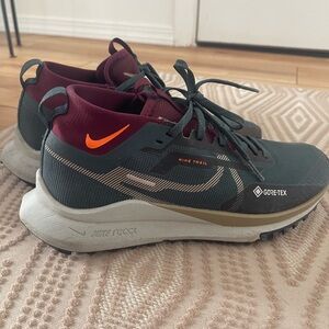 Nike Trail Goretex Shoes